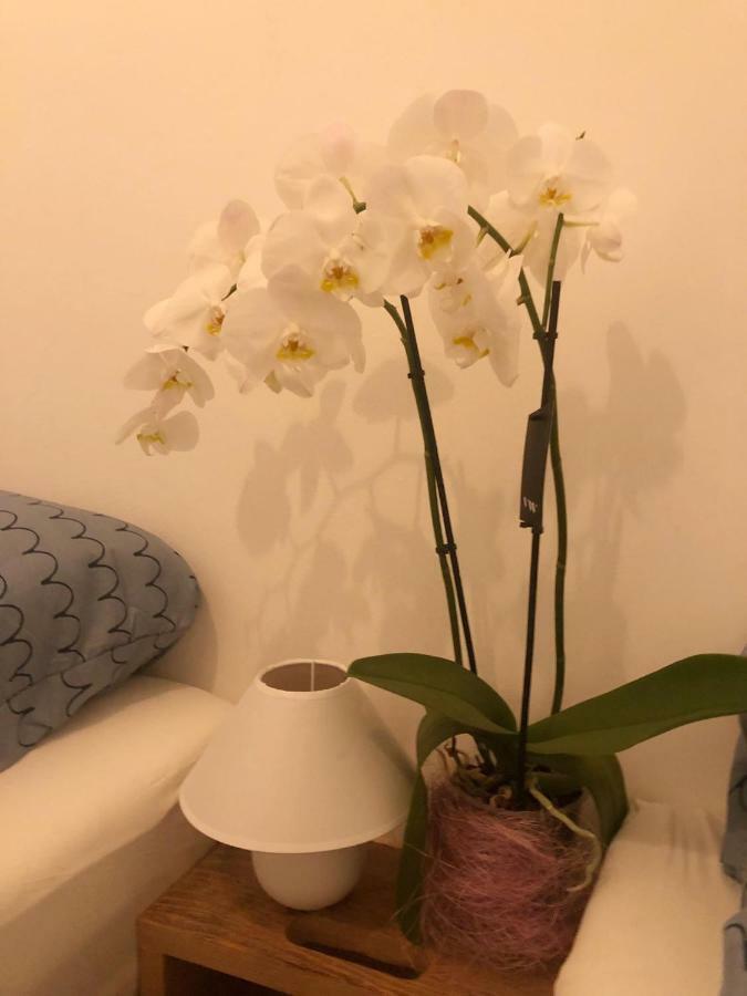 Dubrovnik Summer Industry Apartment Екстер'єр фото
